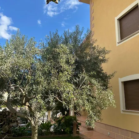 Maria - Martelletto Di Settingiano Bed and Breakfast Καταντζάρο