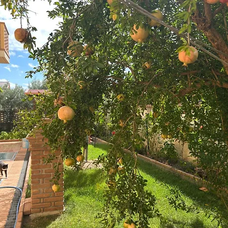 Bed and Breakfast Maria - Martelletto Di Settingiano 3*