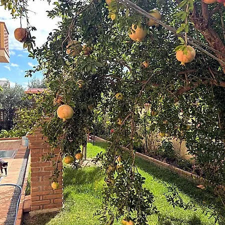 Bed & Breakfast Maria - Martelletto Di Settingiano Catanzaro