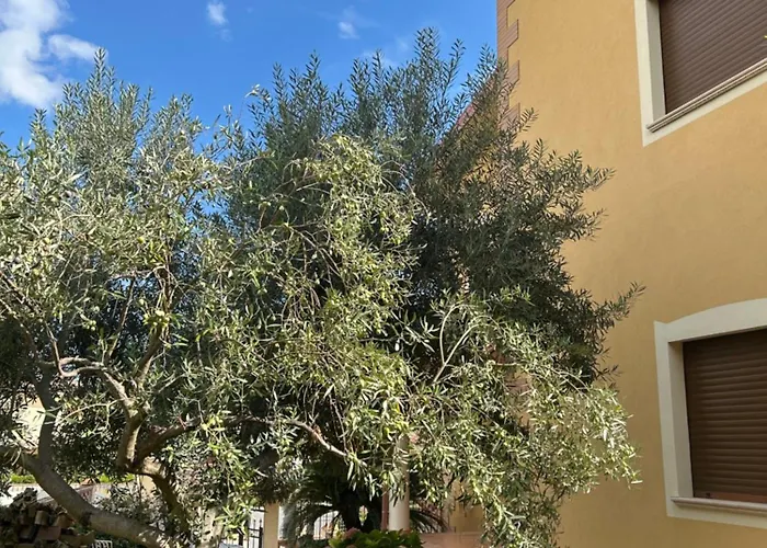 Maria - Martelletto Di Settingiano Alojamento de Acomodação e Pequeno-almoço Catanzaro