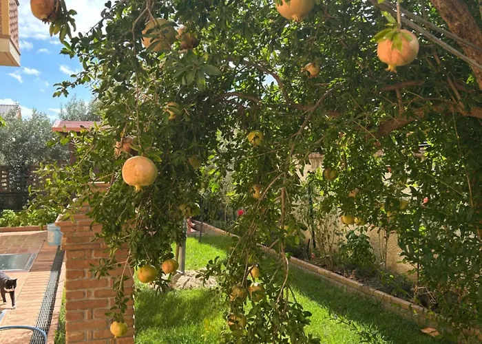 Alojamento de Acomodação e Pequeno-almoço Maria - Martelletto Di Settingiano 3*